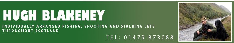 Hugh Blakeney Company Logo